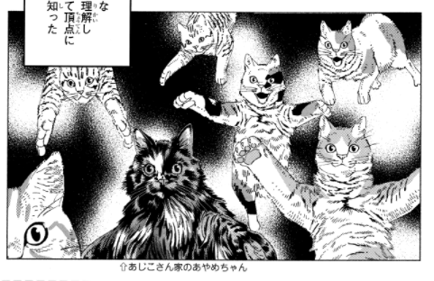 MAGCOMI_'s tweet photo. 『ニャイト・オブ・ザ・リビングキャット』第1巻発売記念の作中登場権（猫限定）、当選発表🎁🎉

本日公開の第6話前編に、
🐈あじこさん家のあやめちゃん🐈
が登場しました✨
https://t.co/Yo8EvKILQp https://t.co/O795nydPcx