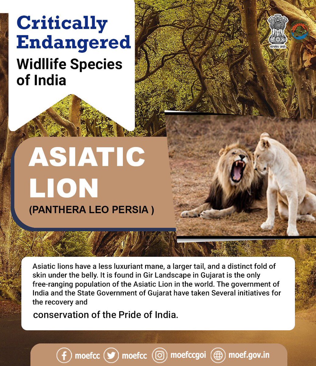 #CareToProtect
#SaveLifeInWild