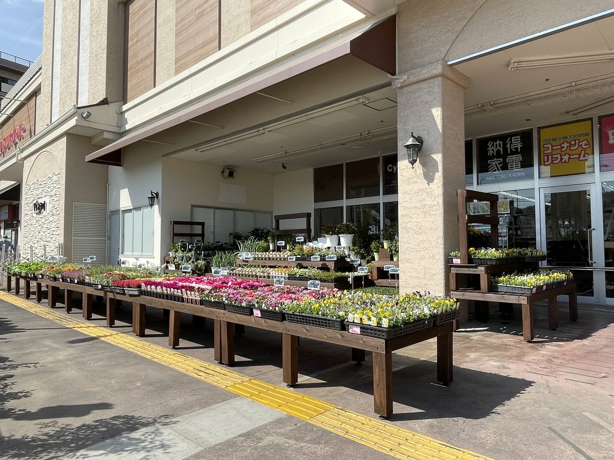 ট ইট র ホームセンターコーナン 公式 まずは正面入り口の外売り場から 花苗をはじめとした植物 用土やブロック類はこちらにご用意しております 季節の花々をゆっくりとお選びください コーナン 西野山店