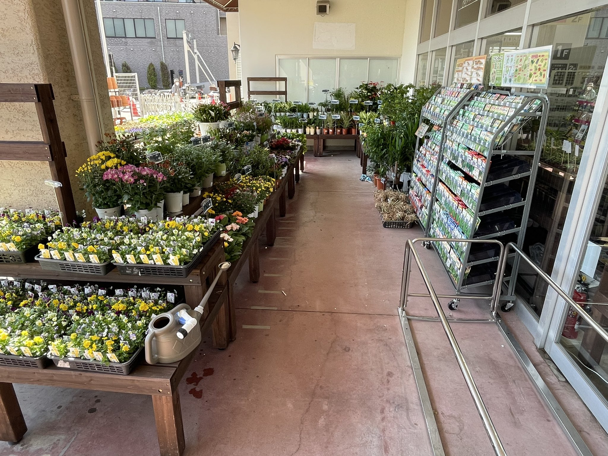 ホームセンターコーナン 公式 まずは正面入り口の外売り場から 花苗をはじめとした植物 用土やブロック類はこちらにご用意しております 季節の花々をゆっくりとお選びください コーナン 西野山店 T Co Nqjc3fkvm8 Twitter