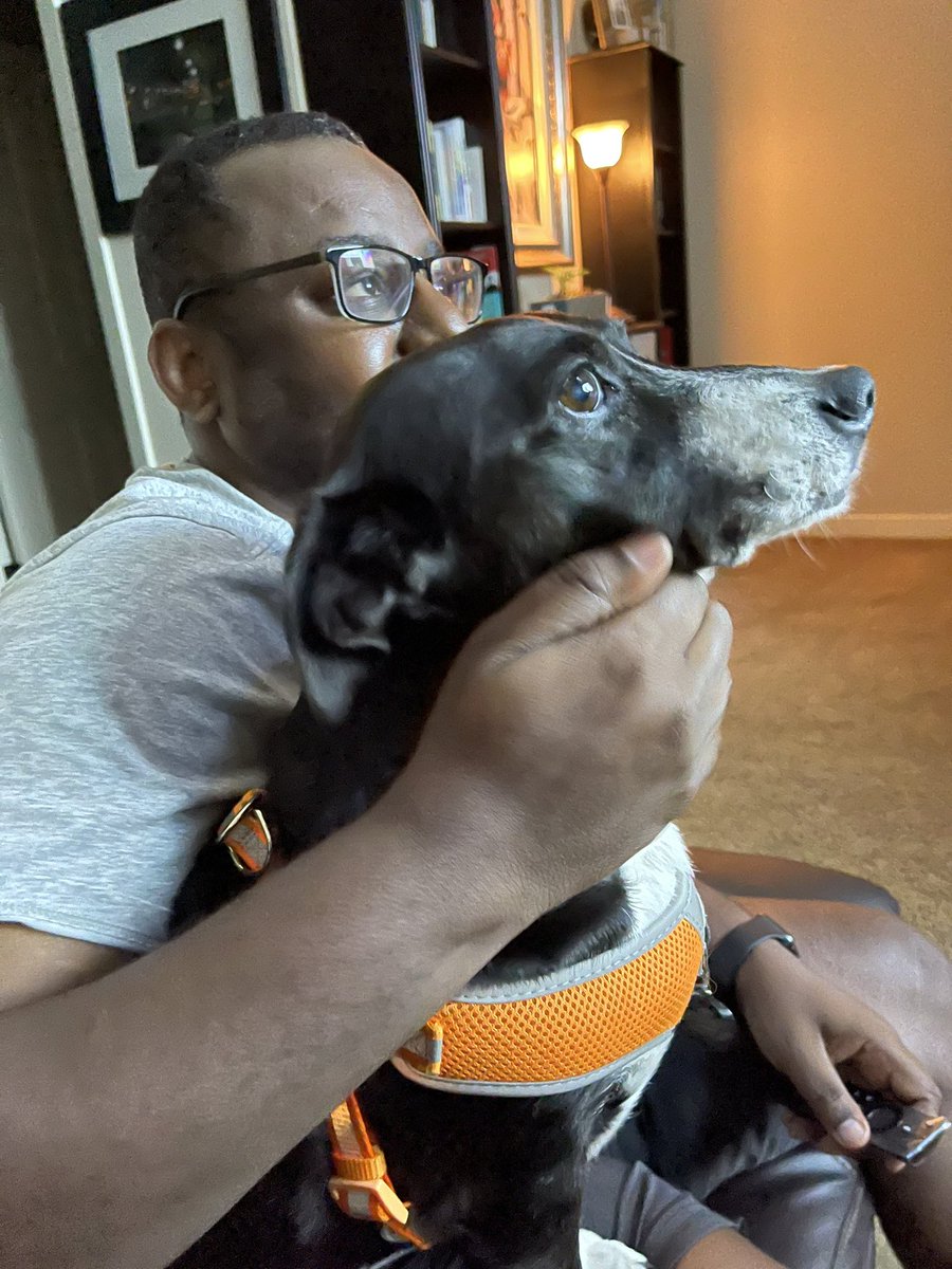 KristaAndrews1's tweet photo. Day #3 and this bitch is definitely trying to steal my man. #RelationshipProblems #Cohabitation #dog #relationships #RelationshipGoals https://t.co/5VkmzSvYcT