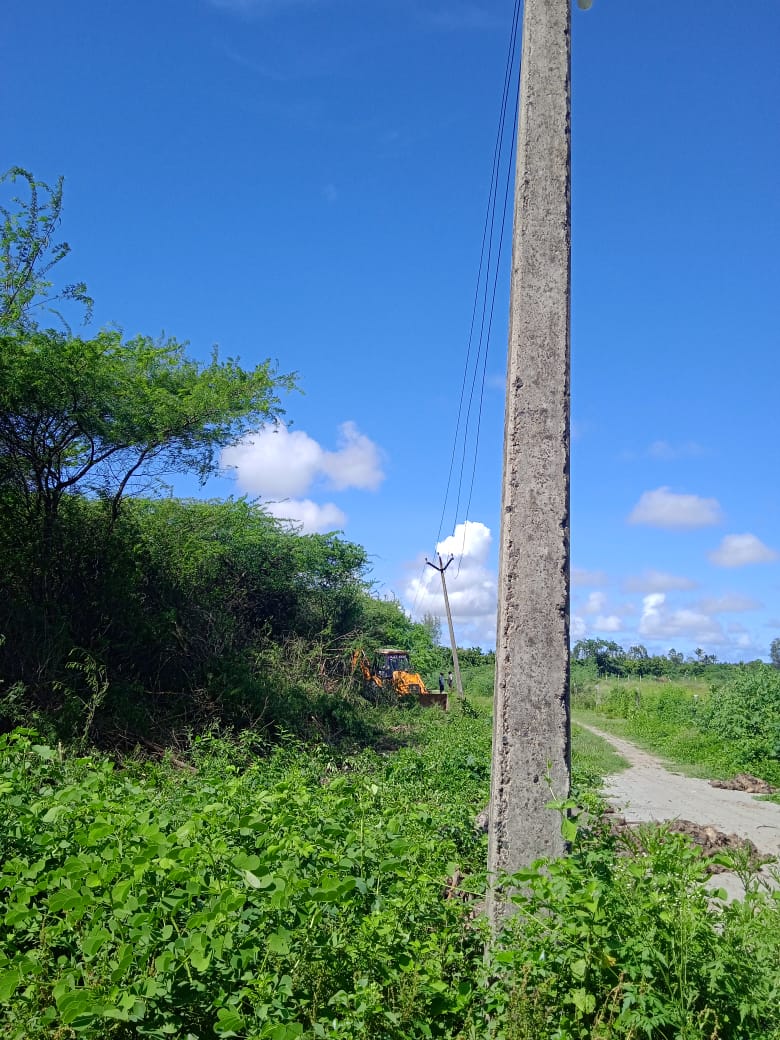 Meratur to Thottakadu 17 span tree cleared in 11kv Neithavoyal feeder, Minjur East section, Tondiarpet Division.