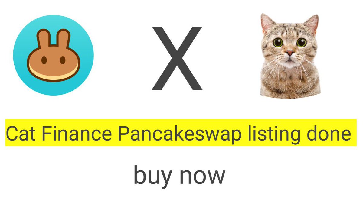 Cat finance tweet media