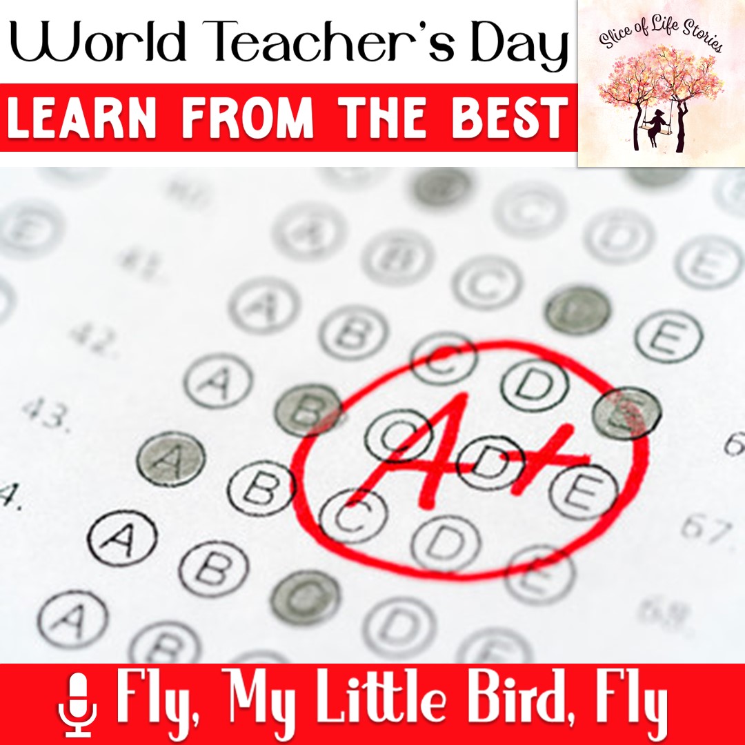 World Teacher’s Day with🎙Fly, My Little Bird, Fly. 

▶ youtu.be/GtH9zT3ws-A

#teachers #teachersday #teachersrule #teachersgift #teacherslife #teachersmatter #teachersbelike #teacher #happyteachersday #education #school #students #study #motivation #podcast #stories #quote.