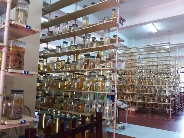 ViettinT's tweet photo. Founded in 1923, the #NhaTrangOceanographyInstitute is the earliest established marine research center in #Vietnam. It has preserved more than 60,000 kinds of marine biological specimens. The glass jars on both sides of the hall are filled with shallow sea animal specimens. https://t.co/ZrGQfvMWub