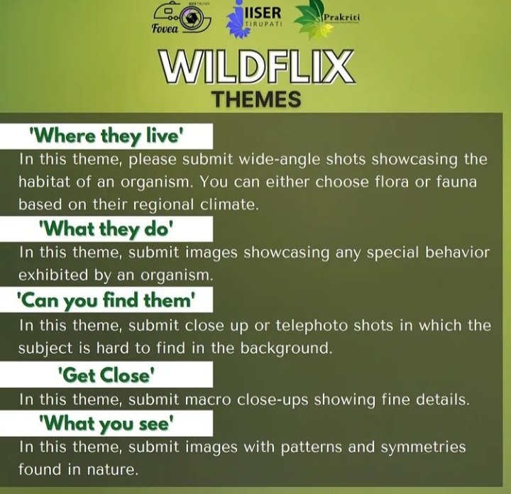 PrakritiIiser's tweet image. We #Prakriti along with #Fovea is celebrating wildlife week.
From 3 to 10 October 2021.
We are organising a photography competition "#Wildflix" to showcase #nature at its best moments. So, to show your enthusiasm bring out the best photos captured from a phone or camera. 1/2