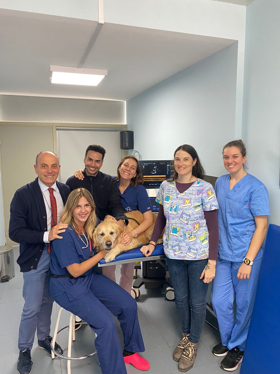 J. Alberto Montoya tweet media