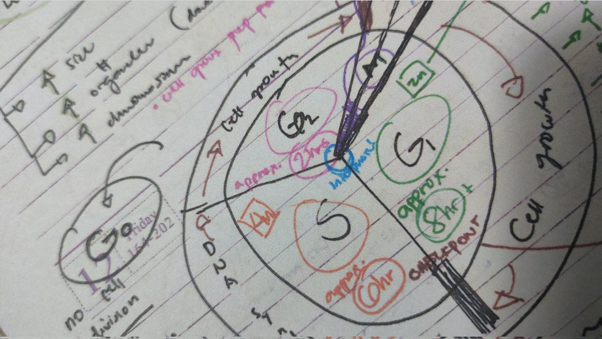 chonskies's tweet photo. ☀️ #studyspo #studytwt #studytwtph
— microanatomy time! ☀️✨
when it comes to Anaphy, i usually do handwritten notes. it gives me more sense of direction and organization!

🌈 i like my notes with an explosion of colour! i am kind of a visual learner ✨☀️ https://t.co/manp3Hik6O