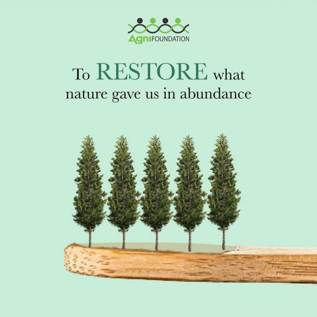 This is a reminder to restore what nature has given us in abundance: let there be light, warmth, food and love. agnifoundation.org  #conservenature #afforestation