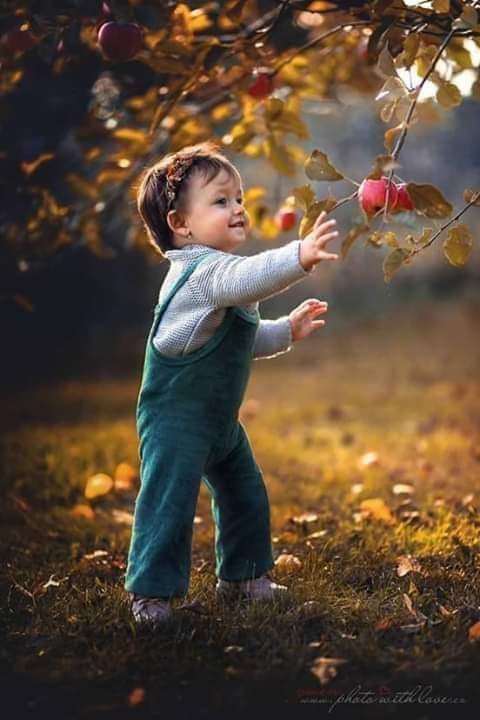 milad878's tweet photo. ســـلامـاً ... 
على مـن اعـتادوا تضمـيد 
قلـوب الاخـرين فـي صـمت 💔
ولم تـجد قـلوبهـم يومـاً مـن يضمد جراحها 🖤🥀 https://t.co/qy6y86U8eD
