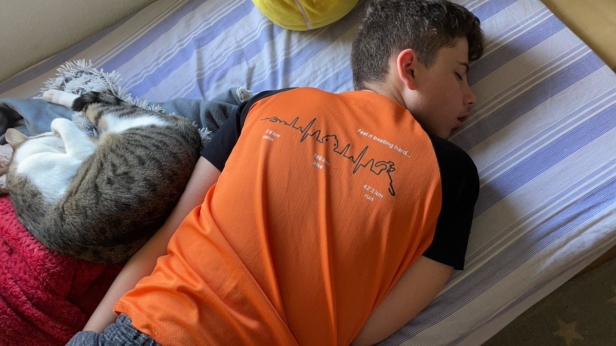 Cada matí 🤷🏼‍♀️
-06,30 desperta has d'anar a classe 💻
-06,45 vinga que has d'esmorzar🥛
-06,50 pots fer el favor 
-07,00 ja no tens ⏰ de res
-07,10 jo no et portaré si et deixa el 🚌
-07,15 aixecat un moment perfà
-07,20 et fiques al 🛌 seu, perquè no torni
-07,25 🚌 (aconseguit)