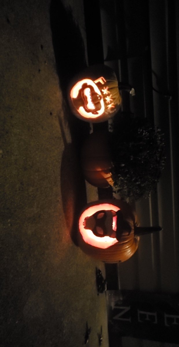 My <a href="/FuckFacePod/">FuckFacePod</a> pumpkin came out nicely, along with the Ladys ferret-o-lantern