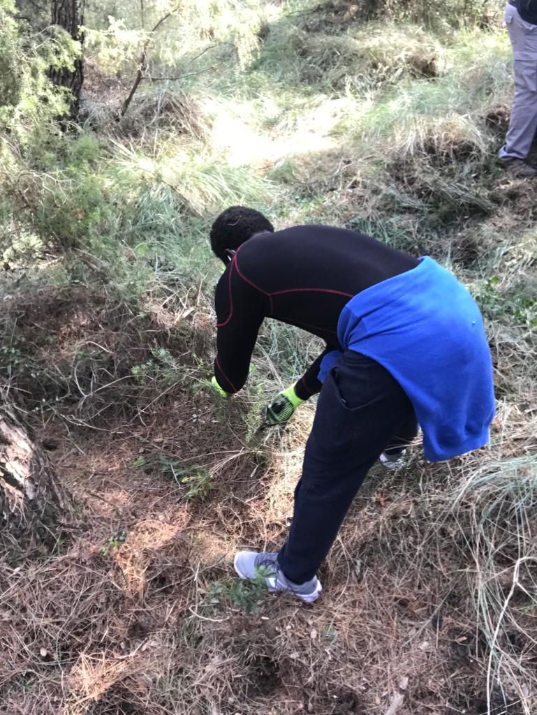 🌳 Els joves que acompanyem al del Servei de Primera Acollida  i Atenció Integral Sirius s'han sumat a <a href="/revifemqueralt/">Revifem Queralt</a> i estan treballant de valent per tal de recuperar el paisatge cremat a l'incendi d'enguany, que ha afectat prop de 1.657 hectàrees.
