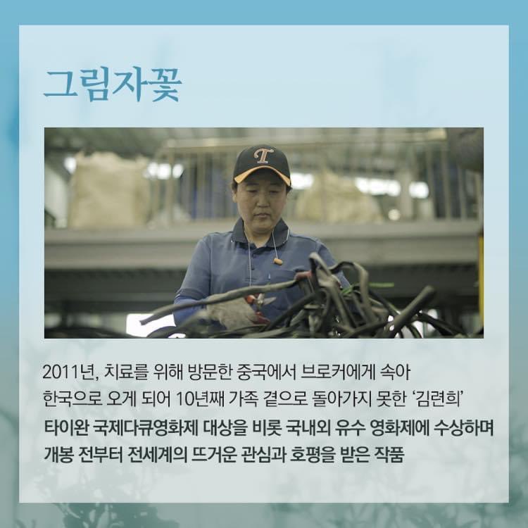 ⠀ #달팽이의별 #달에부는바람 #부재의기억 #영화그림자꽃 #북한 #평양시민 #다큐멘터리 #다큐추천 #영화추천