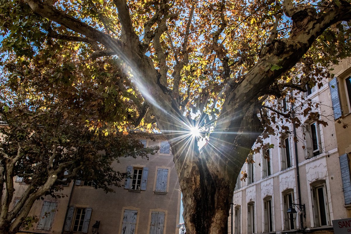 Видите распахнутое окно? Дом заброшен и заперт и многие годы в нём никто не живёт. Но окно каждое утро кто-то всё же открывает. Мы побывали внутри и ничьих следов там не обнаружили. (Из курсовой работы Эллен Монтепен).