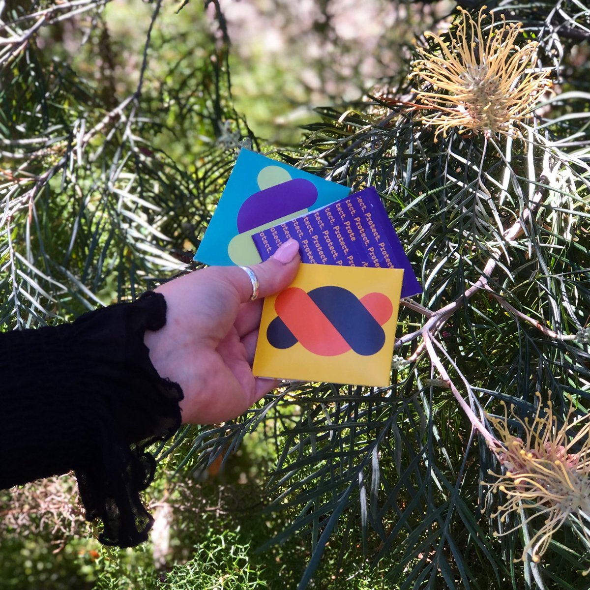 CSBSPOfficial tweet media