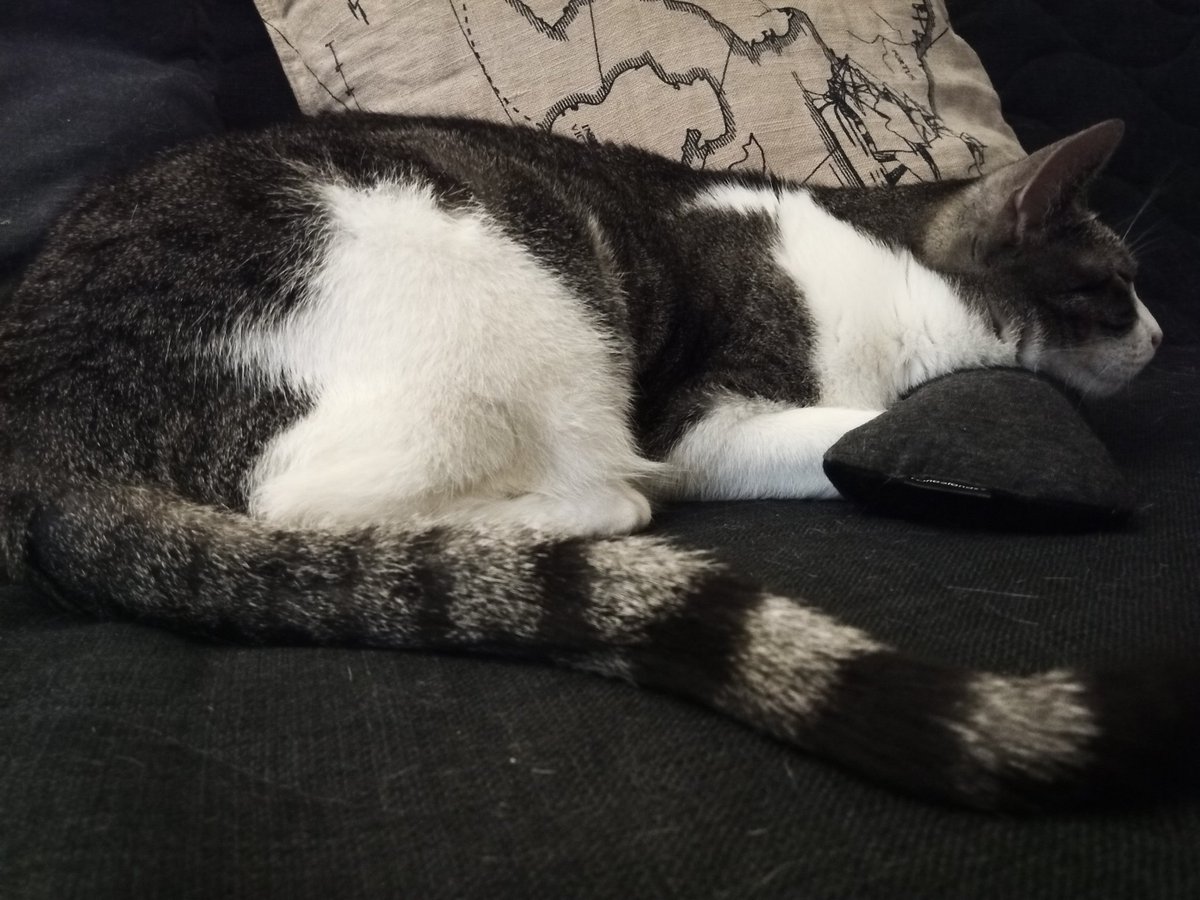 Ysera ๐ (@Ysera_cat) | Twitter