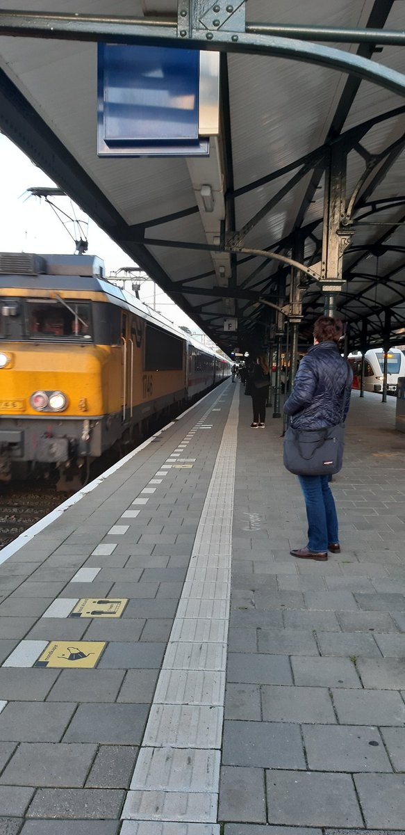 Marieke Krijnen ✒️ Academic copyeditor tweet media