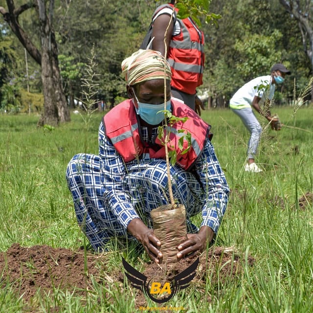 The Background Angel Network tweet media
