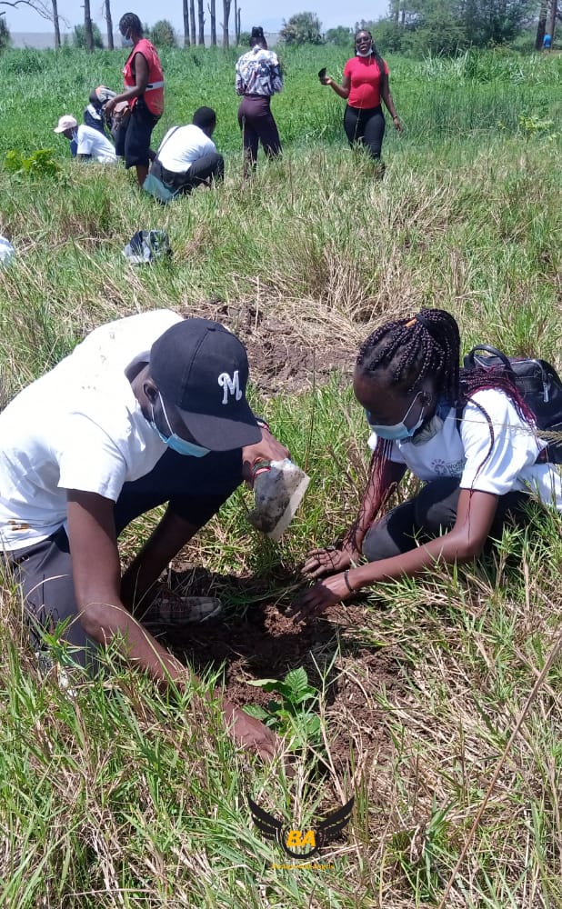 The Background Angel Network tweet media