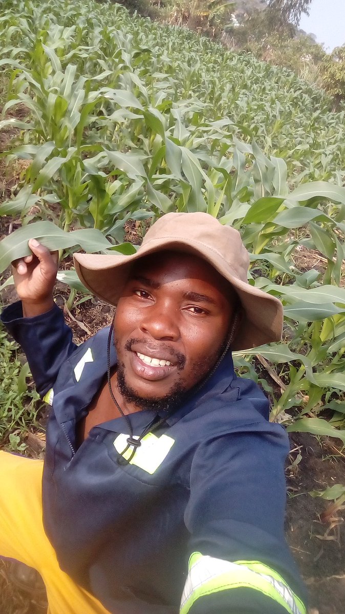 Tyukaz263's tweet photo. SC727 kuzama kufambira nyaya dzacho https://t.co/JB8xERbVoh