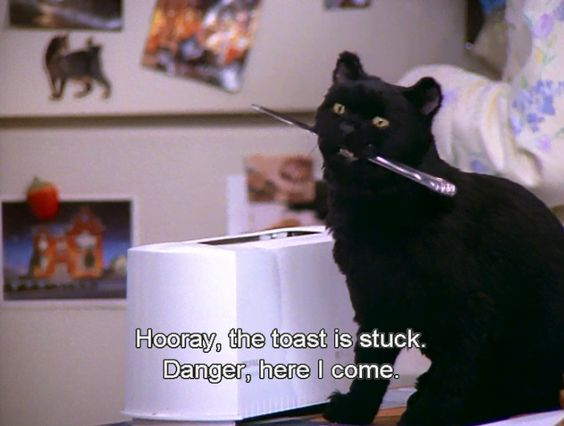 darkmodeChaotic's tweet image. A menace to the flat for sure! #Bastet #sourkitty #Salem