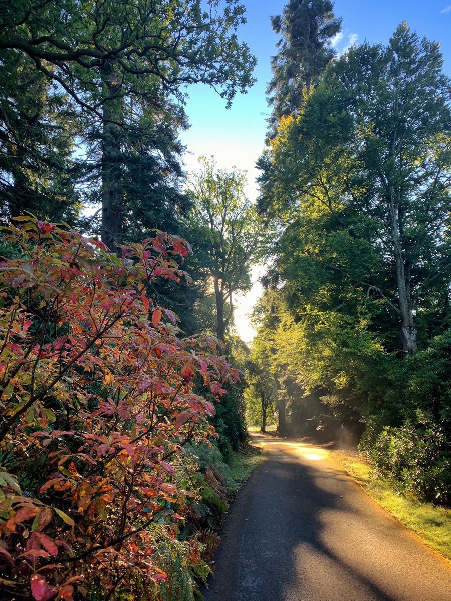 Dungarthill House (@dungarthill) on Twitter photo A lovely Autumn morning at <a href="/dungarthill/">Dungarthill House</a> #autumn #selfcatering #scotland #perthshire #dungarthillhouse A lovely Autumn morning at <a href="/dungarthill/">Dungarthill House</a> #autumn #selfcatering #scotland #perthshire #dungarthillhouse