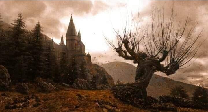 softparisian's tweet photo. halloween at hogwarts https://t.co/JFOu6LD9Tm