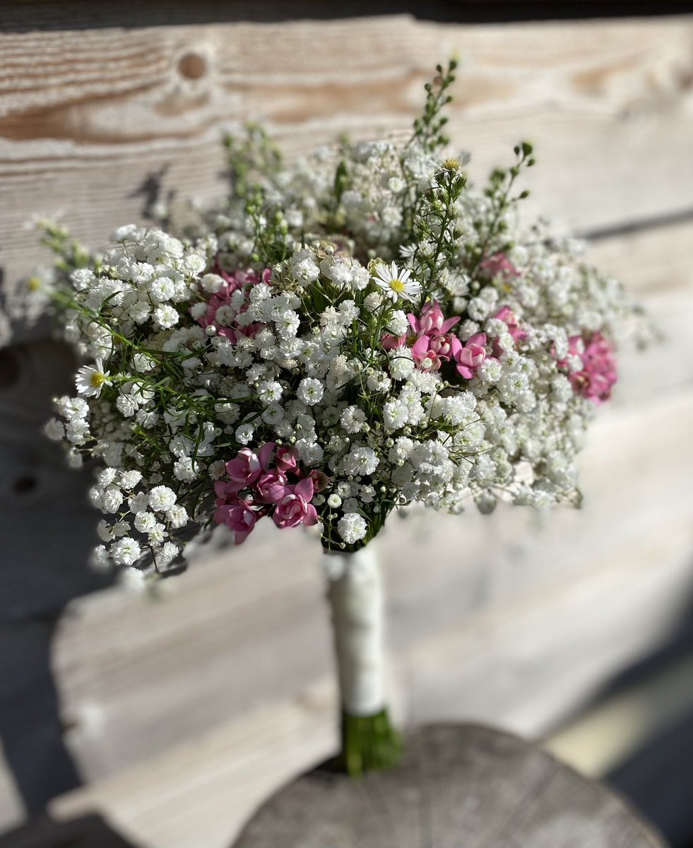 AshdownEvents1's tweet photo. Gypsophila and daisy bouquets for last week’s wedding!
#weddingflowers #sussexbride #bridesbouquet #gypsophila https://t.co/oNTfJumi4L