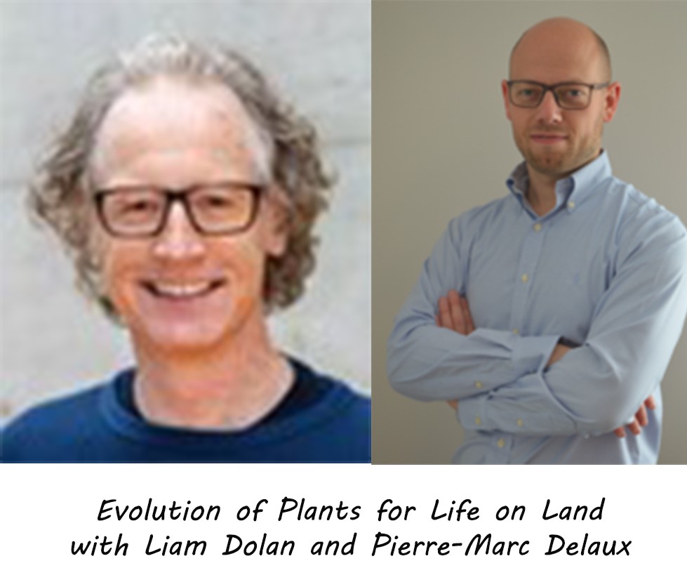 VBCF_PlantS photo