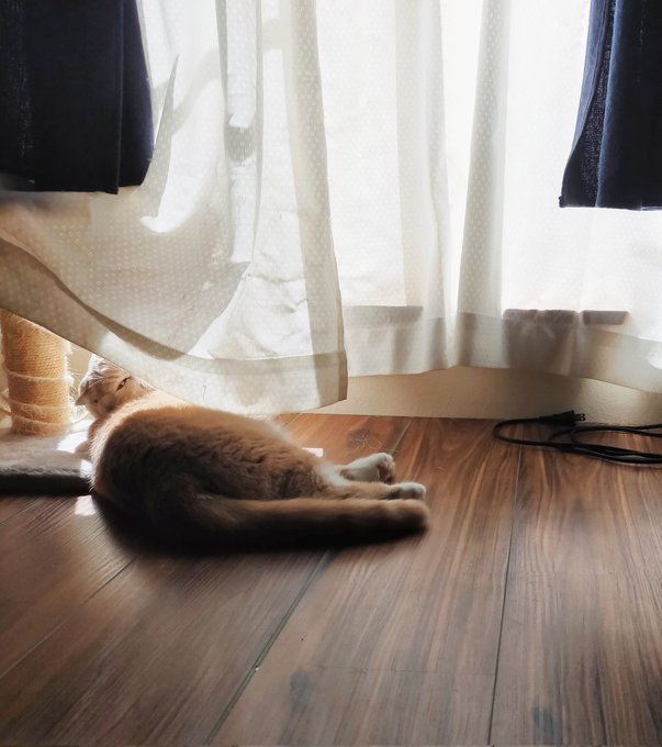 Totsunoさんのイラストまとめ