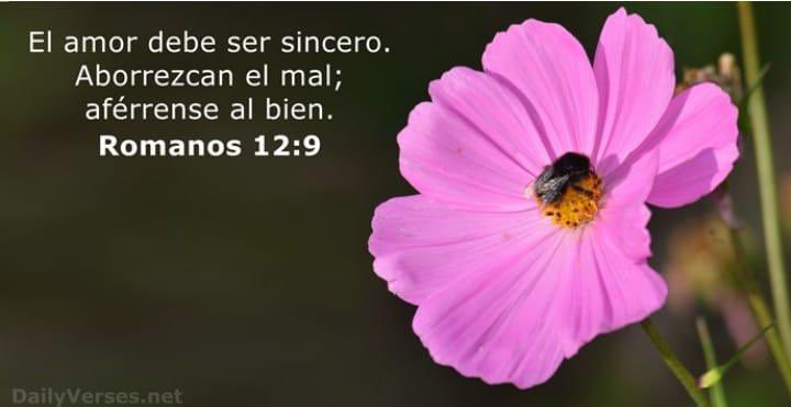 Versículo del día

Romanos 12:9

#VersiculoDelDia
#Biblia 
#Bible 
#BibleVerses 
#FraseDelDia 
#frases 
#Versículo 
#Versiculo 
#Devocional