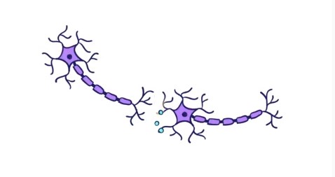 BraintasticSci's tweet image. Have you seen our KS4/5 FREE lesson plan for Learning and Memory?

It&apos;s designed to help students revise by understanding how learning happens in the brain, with science-based tricks to improve recall and retention.

​braintasticscience.com/freebies

#SciEd #ScienceTeacher #FFBScience