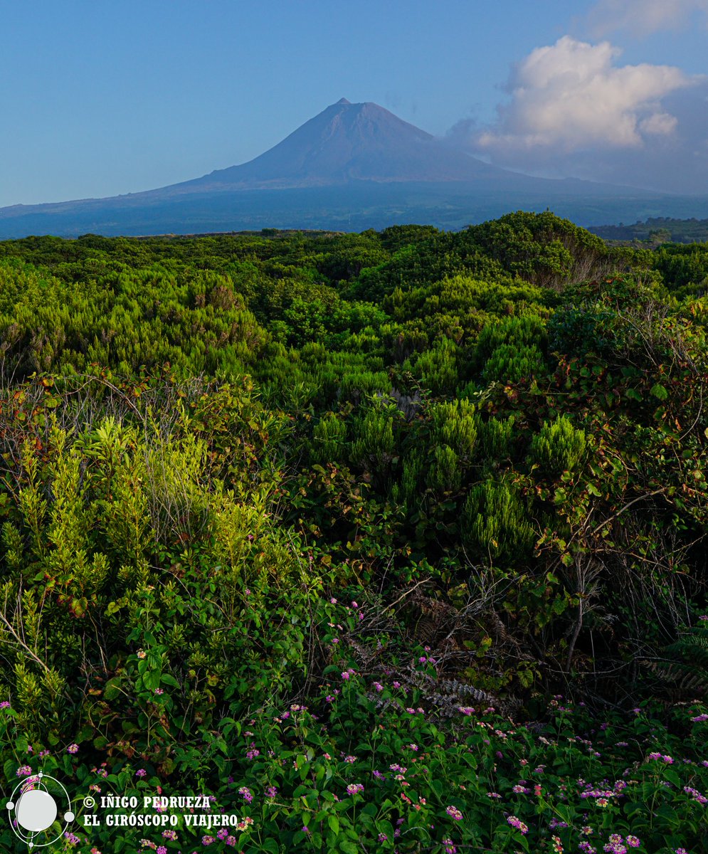 Pico's volcano is the highest point in Portugal and for sure in the Azores island with almost 2400 meters. The view from the @azoreswineco is awesome. The question is will we reach the top?
#visitazores #elgiroscopoviajero #azores #açores #ilhadopico #picoisland