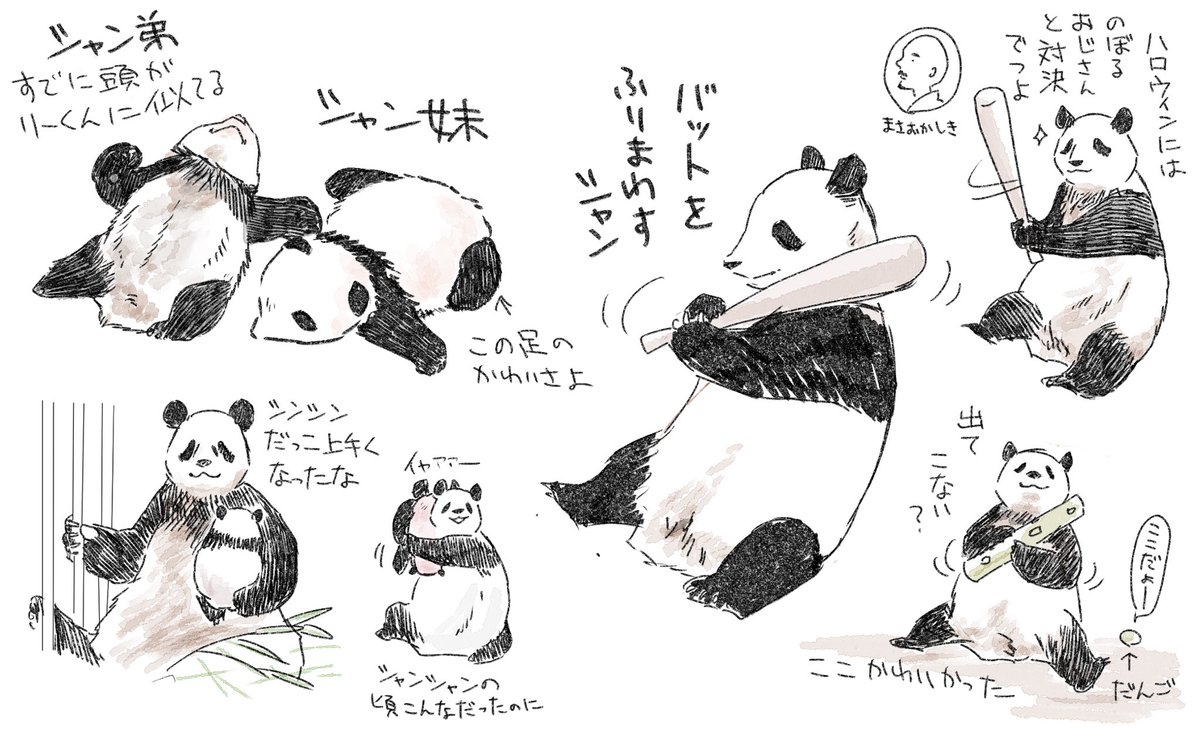 野球シャン 