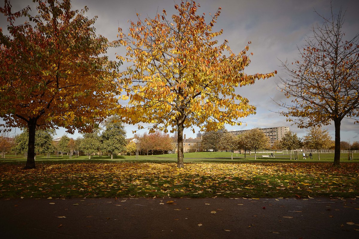 Massive thanks to Jo, <a href="/SE5Forum/">SE5 Forum Camberwell</a> &amp; @thecamberwellarms for putting on a fantastic evening, also massive thanks to everybody who turned up

I will be looking to take portraits of locals in the area again for my project Please get in contact if you're interested in participating
🙏🏿