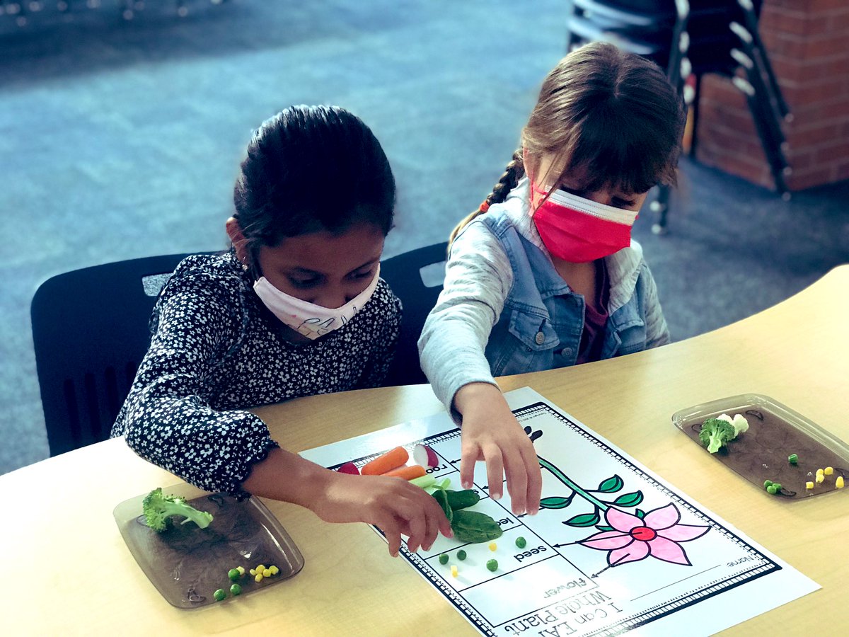 Eating a whole plant? That’s what our first graders did for their unit on parts of a plant, after reading Tops and Bottoms. <a href="/bvlibraries/">BV LibraryMedia</a> <a href="/hrtlibrary/">HRT LMC-Sara Aitken</a>