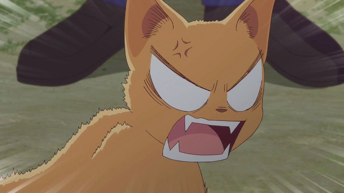 dailysohma's tweet photo. https://t.co/L5l9e2Rakk