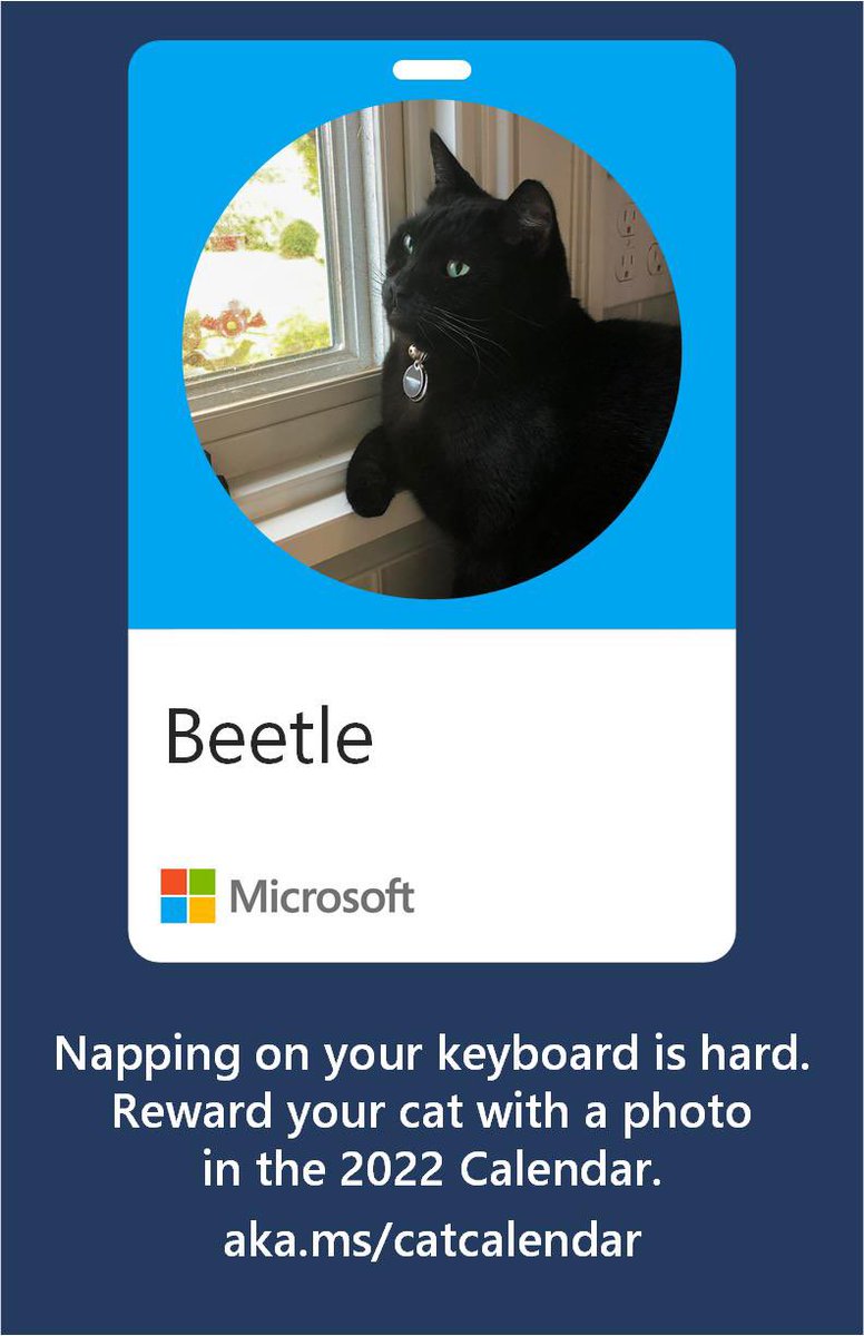 It’s a good day to listen to the Beetle. ;) #catsofmicrosoft
