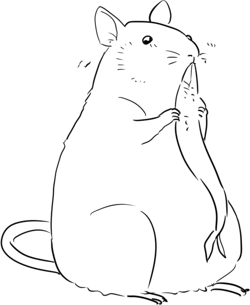 いってくるよー 