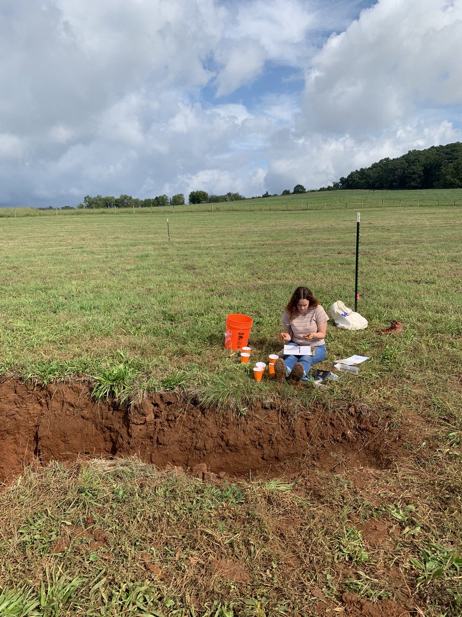 soilshepard's tweet photo. Finally back to judging some soils! https://t.co/1SNrT0Pr84