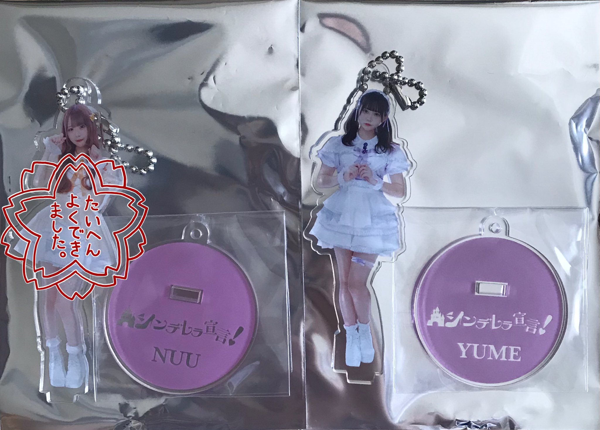 シンデレラ宣言 RICO アクスタ Amazon.co.jp: シンデレラ宣言 RICO アクリルスタンド 缶バッジ