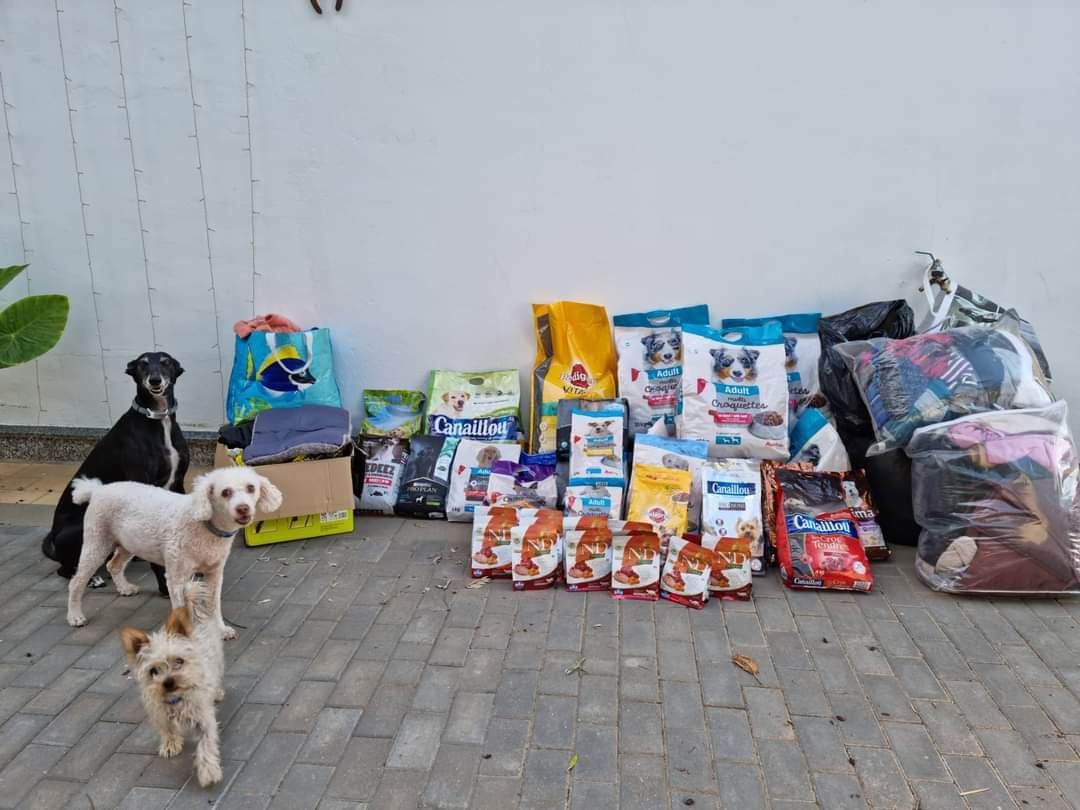 adoptamestizos's tweet photo. Súper donación de pienso, mantas y accesorios procedente de una recaudación en Francia, que nuestra amiga Alba Toja se encarga de repartir entre protectoras andaluzas 😍
Muchísimas gracias compañera por acordarte de nosotras y ofrecernos este suspirito que tanto necesitamos. 💜 https://t.co/dMNqpE6mgR