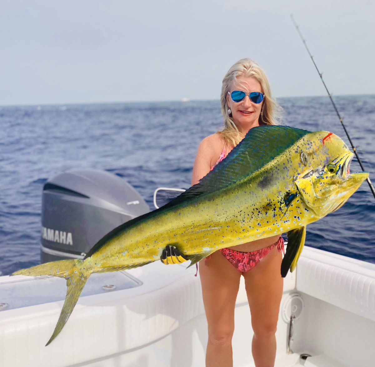 HookerBookerLLC's tweet photo. Nice lil mahi!! #hookerbooker #floridafishing #fishingcharter https://t.co/5WJblopXla