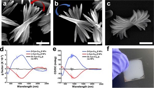 Jihyeon Yeom tweet media