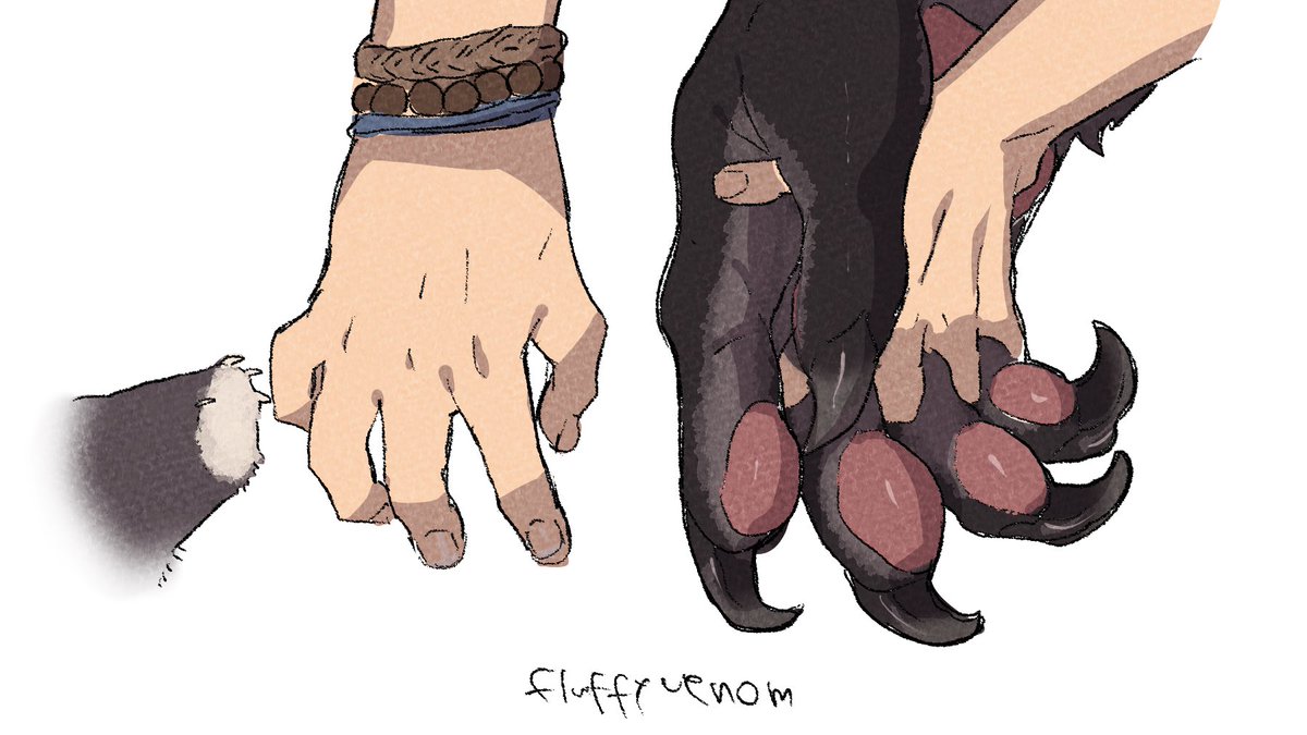K_B__M's tweet photo. Fluffy venom https://t.co/yTBednuBg9