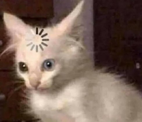 KittyJaaz's tweet photo. Mi reacción al ver que pausaron el #WORLDS2021 #LeagueOfLegends https://t.co/gbJP48Pa0U