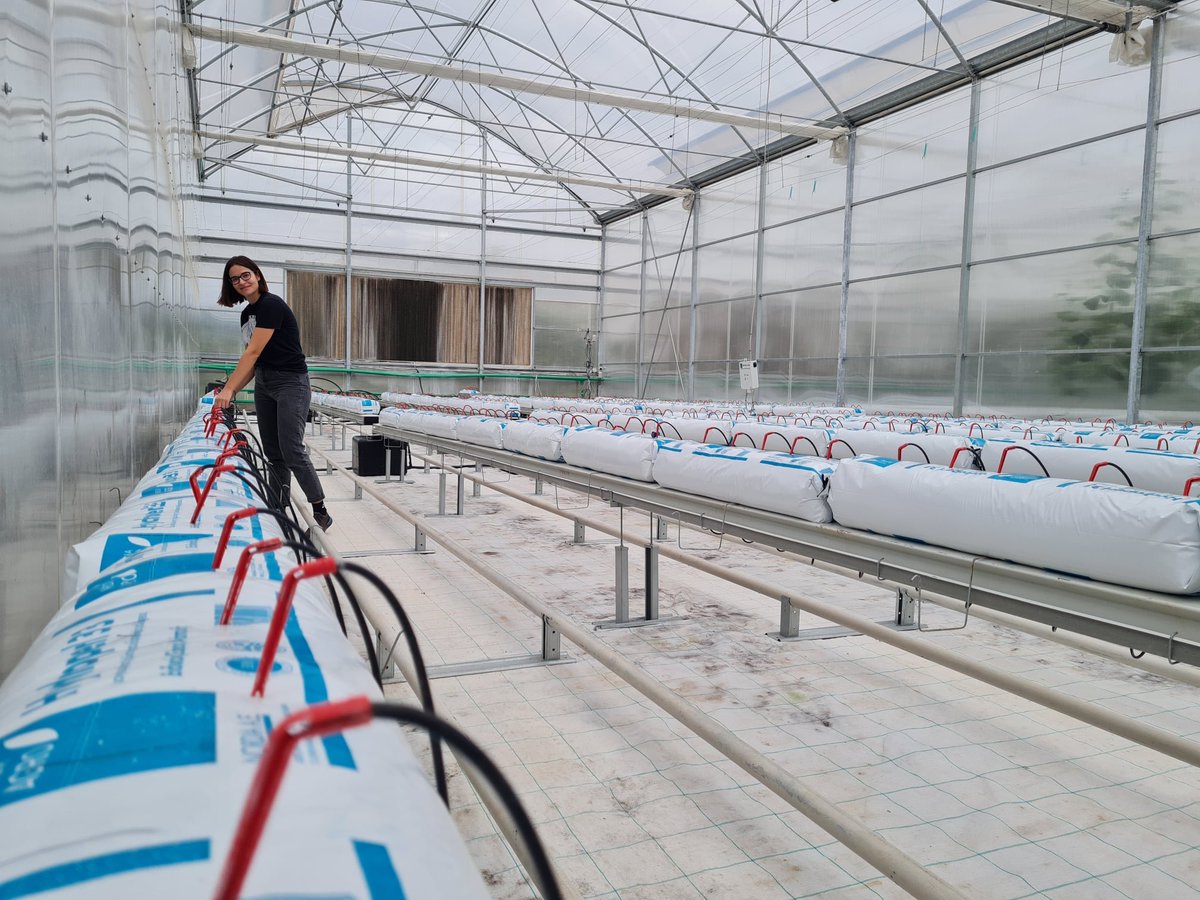 PrecimedP's tweet photo. ... getting ready to start a new experiment at UTH (Greenhouse Park) to test the PRECIMED DSS for crop fertigation management! 
To know more about our project: https://t.co/fkm40713wm
#PRIMAProgram #Mediterranean #EU #EUinnovation #innovation #PRIMAproject #H2020 #PRECIMED https://t.co/uMt6l5ueAD