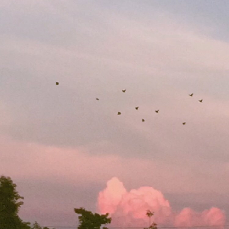 dusky_np's tweet photo. หลายครั้งที่รู้สึกว่าโลกขับไล่เราอยู่ตลอดเลย
จนในที่สุดวันหนึ่งเราก็เริ่มถอยออกมาจากโลกด้วยตัวเอง
#โรคซึมเศร้า https://t.co/2S1Z1c7jB6