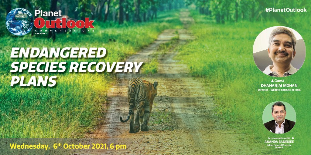 On this #WorldWildlifeWeek, Watch Dr. Dhananjai Mohan, Director - @wiiofficial1, discuss “Endangered Species Recovery Plans” with Outlook’s Special Project Editor, <a href="/protectwildlife/">Ananda Banerjee</a>, on 6th October, Wed, 6pm.  
Visit – planet.outlookindia.com
Follow us on <a href="/planet_outlook/">PlanetOutlookIndia</a>